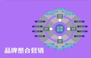 杭州暢聚科技 面向江山市的互聯網推廣策略與技術實踐