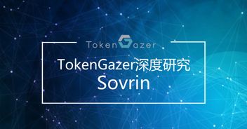 從TokenGazer深度研究看Sovrin 技術落地可期，但大規模推廣之路任重道遠