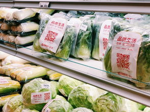 數(shù)據(jù)驅(qū)動(dòng)下的新鮮革命 盒馬鮮生如何以大數(shù)據(jù)重塑生鮮零售